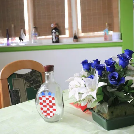 Kuca Za Odmor Ivana Πανσιόν *